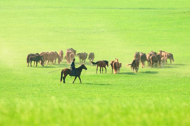滴哒小艺定制视频 可以找到很多独立创作者