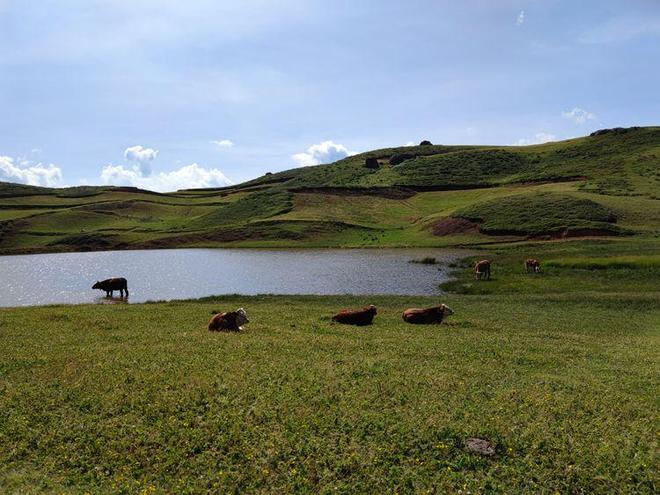 滴哒小艺定制视频 可以找到很多独立创作者