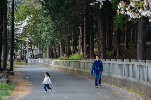微博网红 微博网红但其运营也如履薄冰