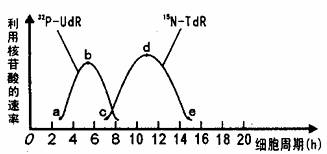 魏大勋八卦 魏大勋卦形成跨平台传播矩阵
