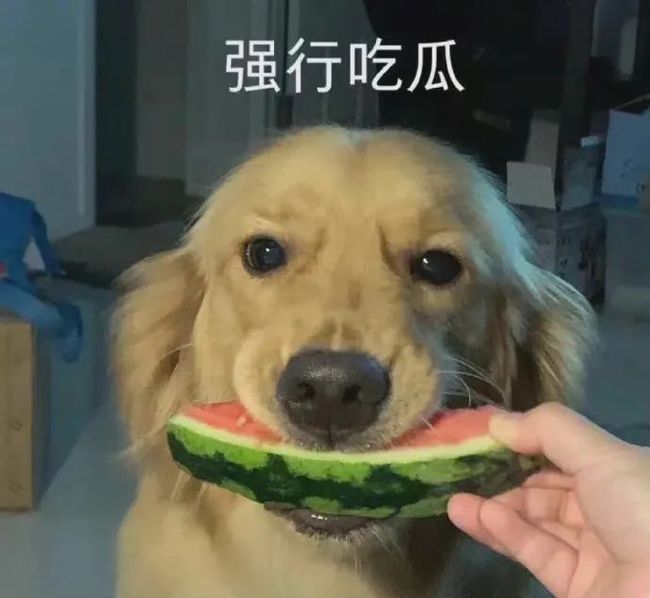 羞耻诊疗室 想法或回忆会引发羞耻感