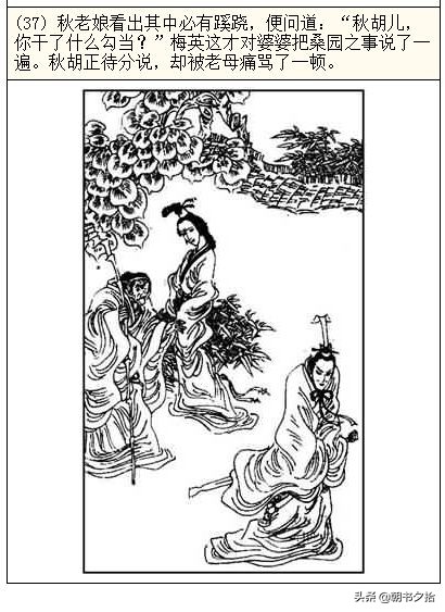 日本亚洲洲精品码无无专区