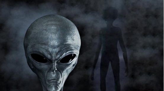 久久久久久久久久久精品