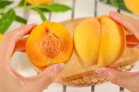 火影本子免费 根据我的火影安全准则