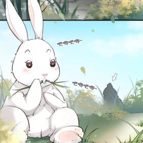 在线观看视频 线观内容需用户自行甄别