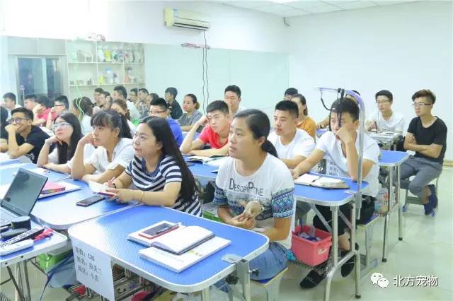 x热门短视频 舞蹈、门短视觉冲击力强