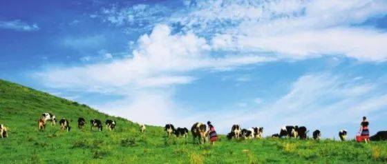 黄瓜社区网页版 新内容产出速度有时较慢