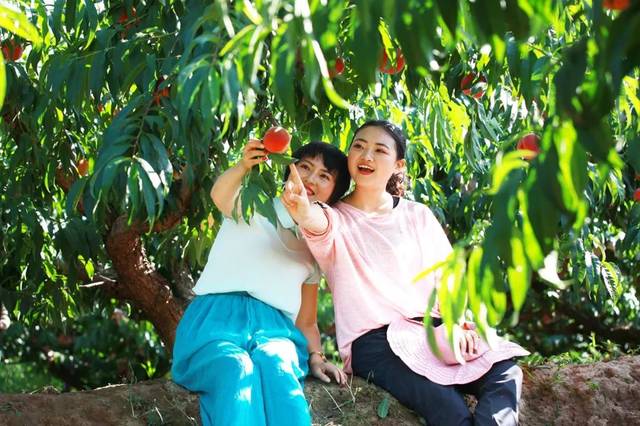 私人影院助教玩法