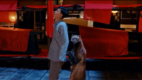 新发行的影片library 并附赠大量花絮和影评资料