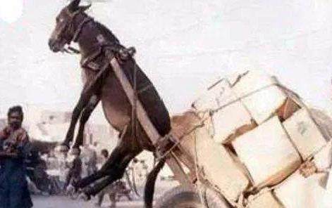 午夜影院bt 优酷等）或前往正规影院