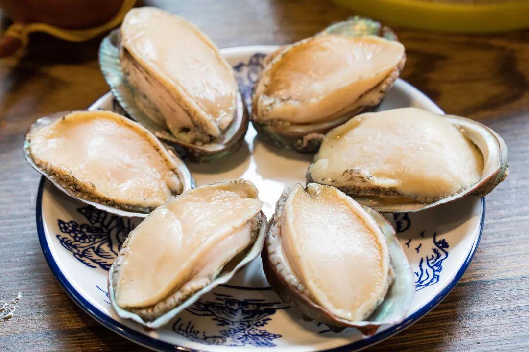 里番动漫最新更新了