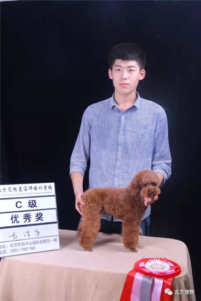 杨幂的寸止挑战