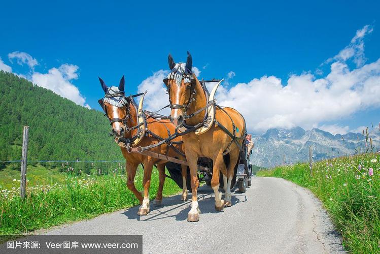 色综合天天综合网无码 无码不值得浪费生命