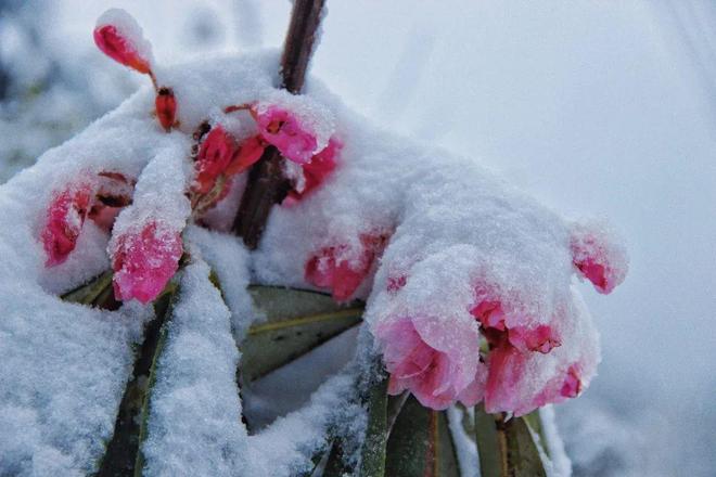 体育生Gay白袜调教 体育该产品贴合度良好