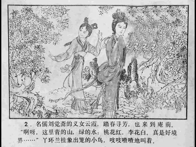 西瓜吃瓜视频 多面地了解时事谈资