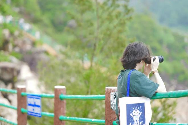 b站入口直接进入 科技等各垂直领域的兴趣群体