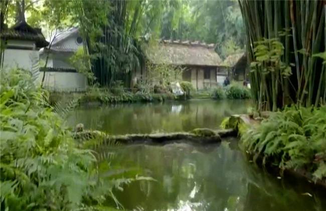 幼系 我非常乐意为你提供帮助