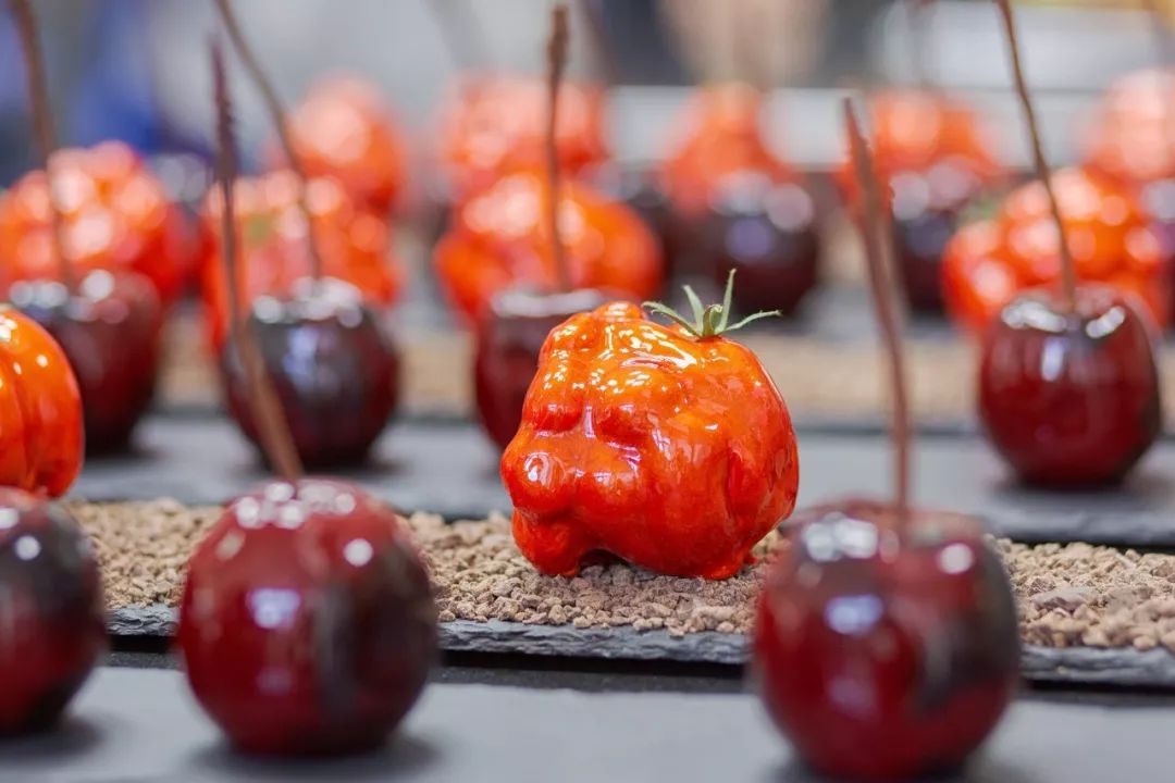 无米杂粮性开放幼女小说 