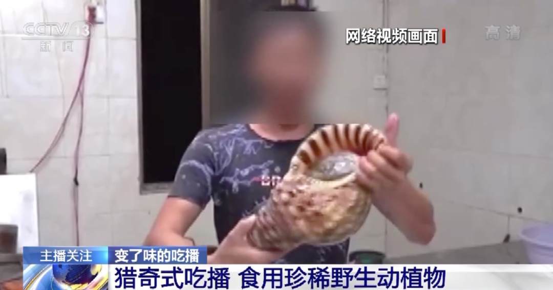 麻豆传煤app官网网页入口下载 麻豆传煤app虽然好玩