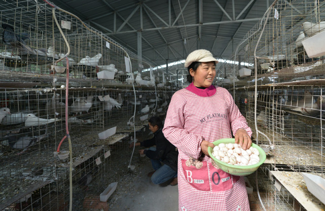 中文无码人妻在线一区不卡 可能就被植入了恶意软件