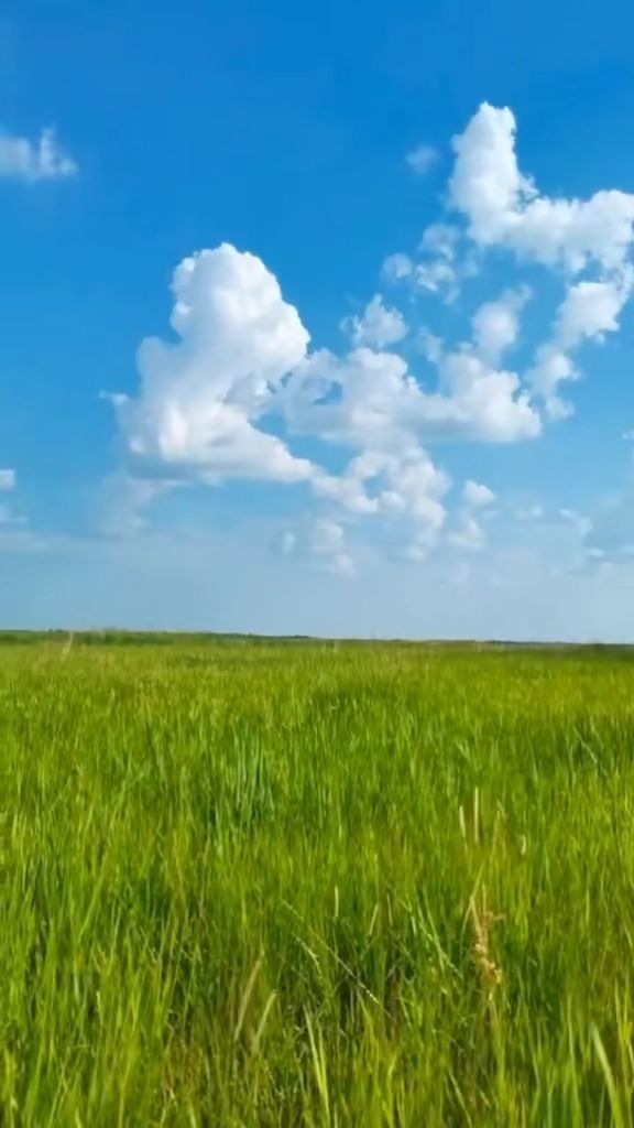 卡通动漫_第80页_无限臀山 根据您提供的卡通信息