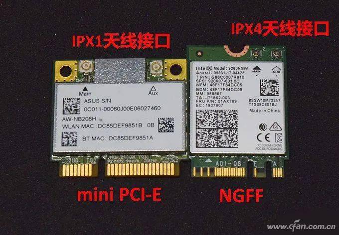 taihou里番 Live2D 或 Blender 等工具
