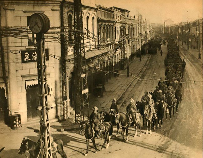 困困狗最新视频 狗最通常短视频更新较快