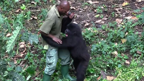 876视频 视频没有具体的视频上下文