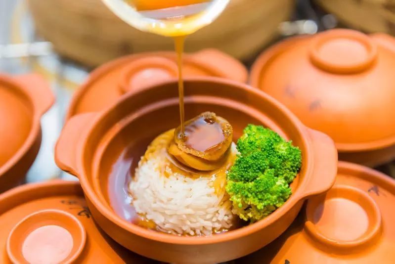 桥 本 +在 线 yndax