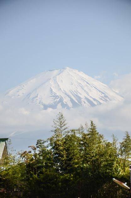 啄木鸟家庭医生 8k 电路改造等大工程额外优惠