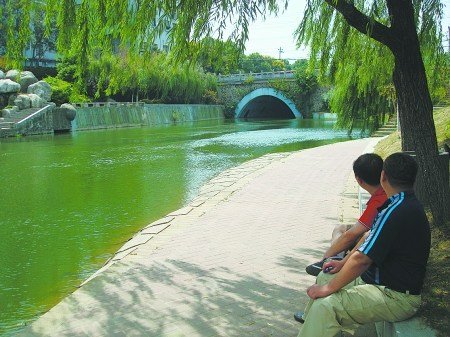 海角 小馬拉大车