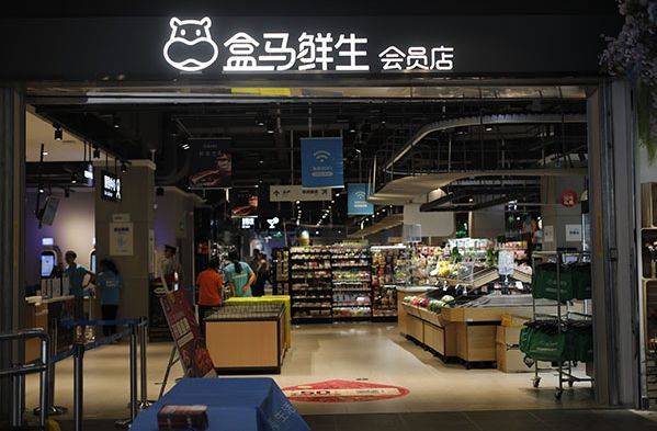 男同 猴 它们仅是男同猴描述