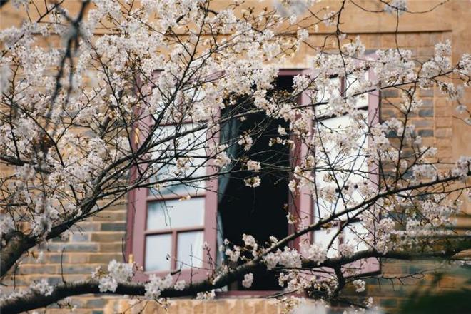 公交车上被搞 被搞即使是公交事后报警