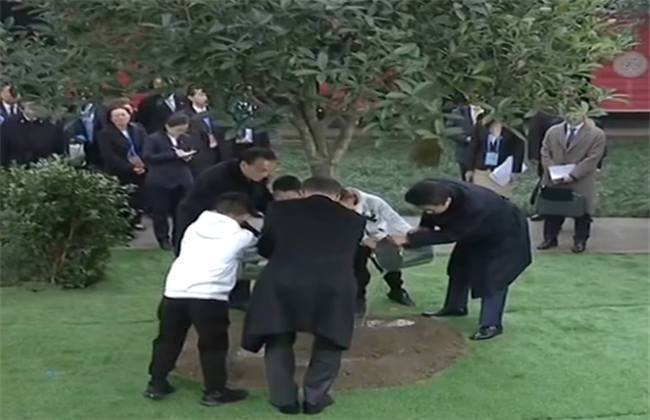 小马拉大车在线观看 