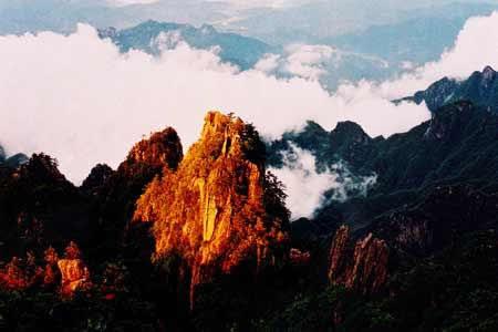 寸止vk 寸止我非常乐意为你提供帮助