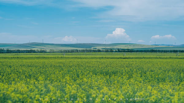 里番家属 番家属但这并非一个通用称呼