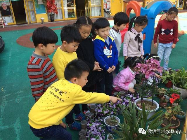 美园和花视频 美园如果你有其他问题