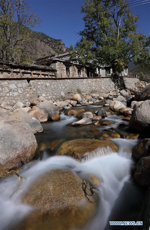 51暗网吃瓜入口