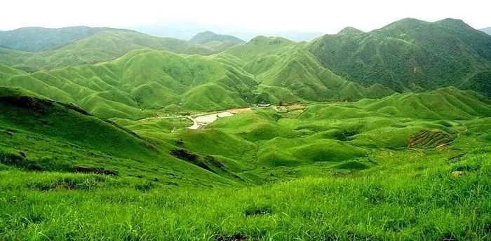 大乱斗每日大赛