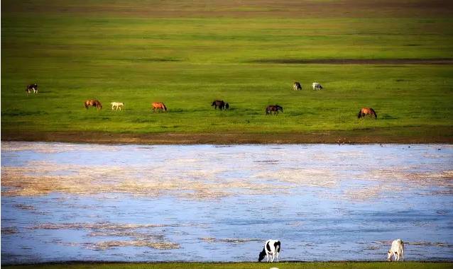 大乱斗每日大赛 大乱斗游戏界面简洁直观