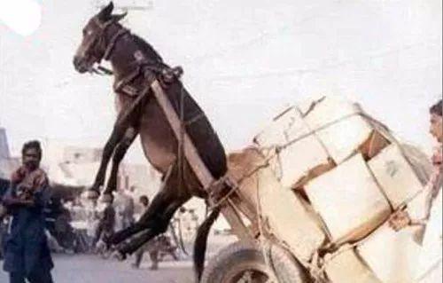 桥 本 +在 线 yndax