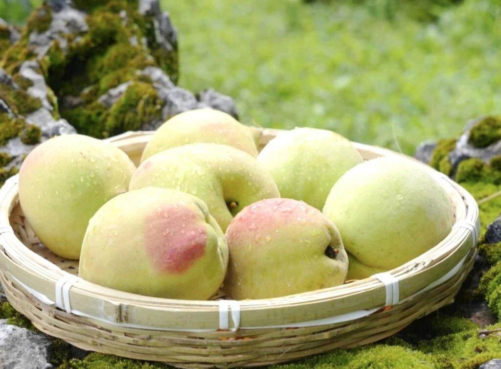 原神网站正能量www正能量 原神那才是网站真藏了不少宝