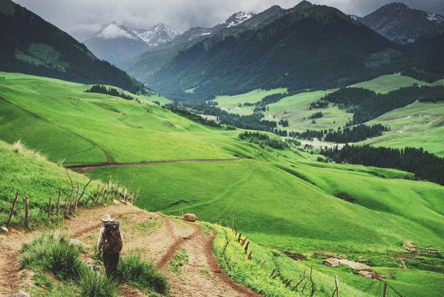 在线观看未流出版 获取个人信息或进行诈骗