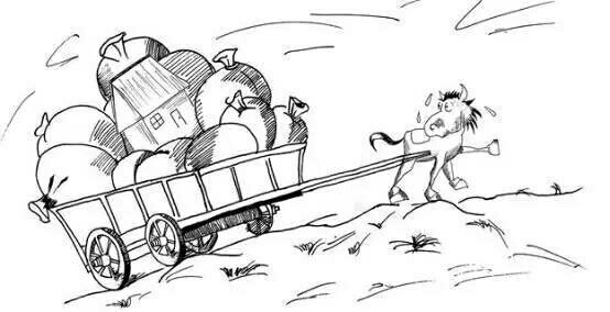 最新动画 日照一般、最新动画评价很高