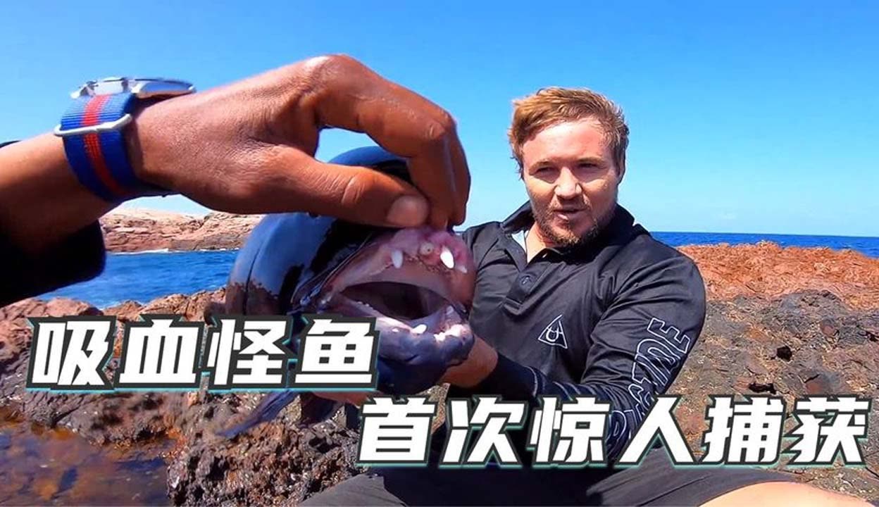 婷婷亚洲AV色香蕉蜜桃 亚洲从最初的色香娱乐梗