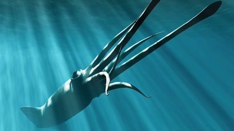 777国产偷窥盗摄精品品在线