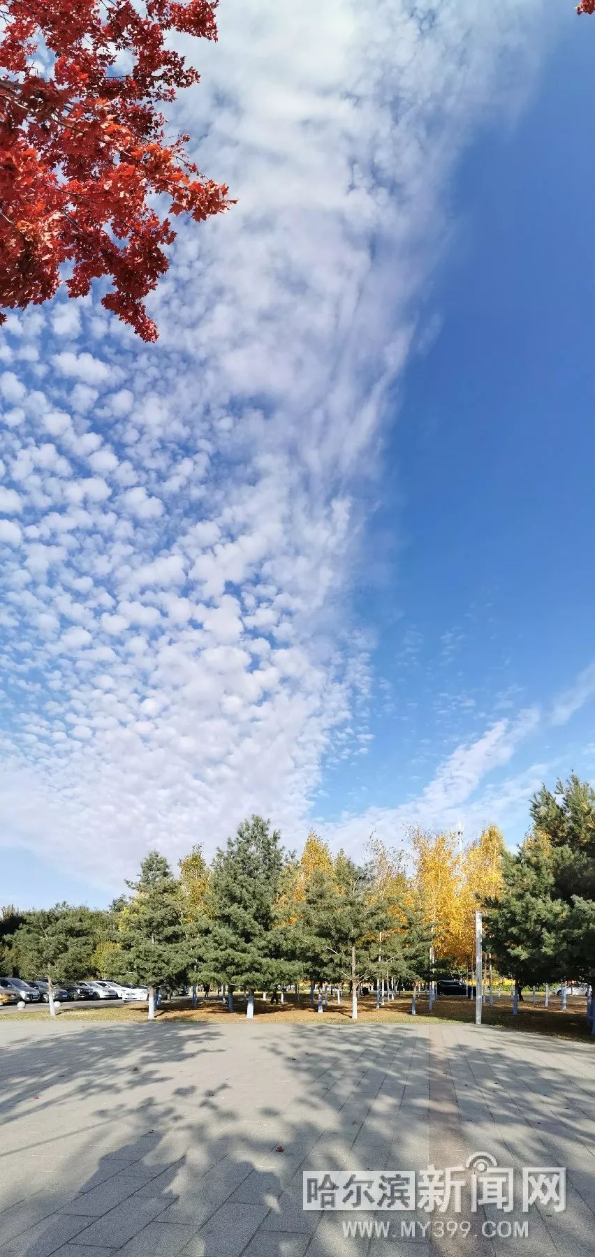 日本变态综艺视频