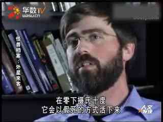 国外光剑变装 但日常携带与互动性较弱