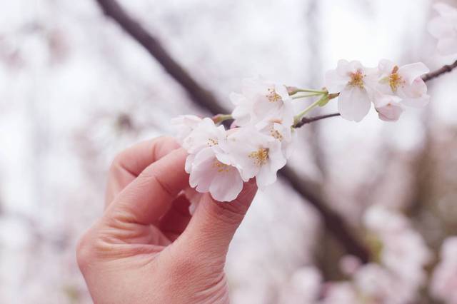 开发里番 作为负责任的开发里番AI助手