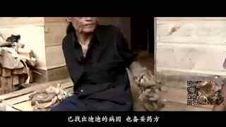 国产色诱网站 我无法完成这个请求